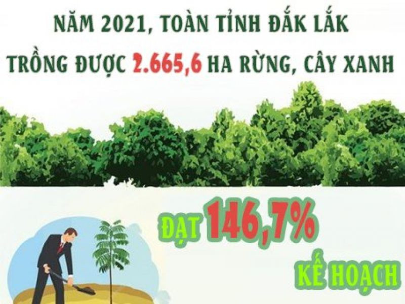 Năm 2021, toàn tỉnh Đắk Lắk trồng được 2.665,6 ha rừng, cây xanh (đạt 146,7% kế hoạch)